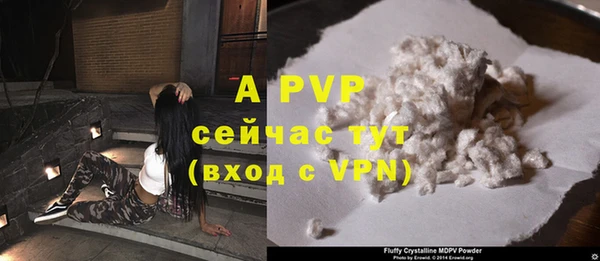 стаф Новодвинск