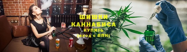 стаф Новодвинск