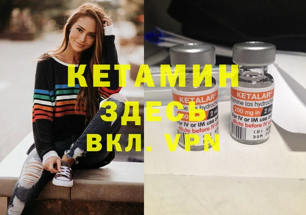 стаф Новодвинск