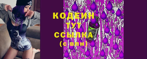 стаф Новодвинск