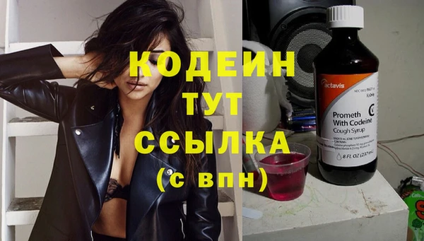 стаф Новодвинск