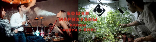 стаф Новодвинск
