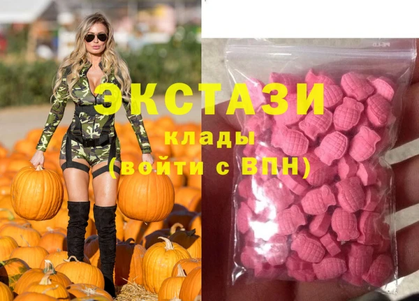 стаф Новодвинск
