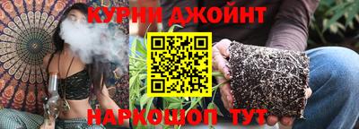 спайс Кингисепп