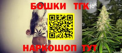 спайс Кингисепп
