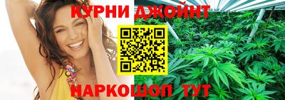 спайс Кингисепп