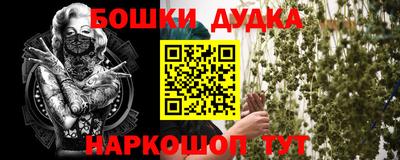 спайс Кингисепп