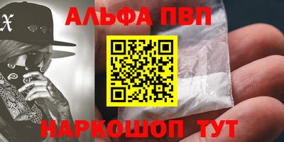 спайс Кингисепп