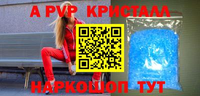 спайс Кингисепп